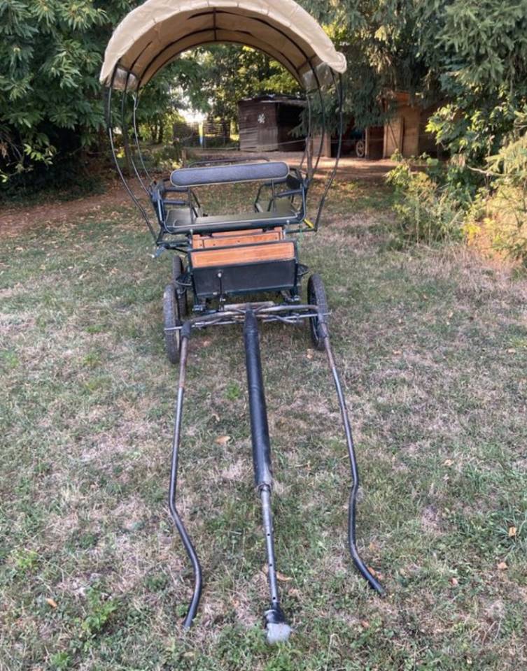 Carriage - Wagonnette Dominiak  