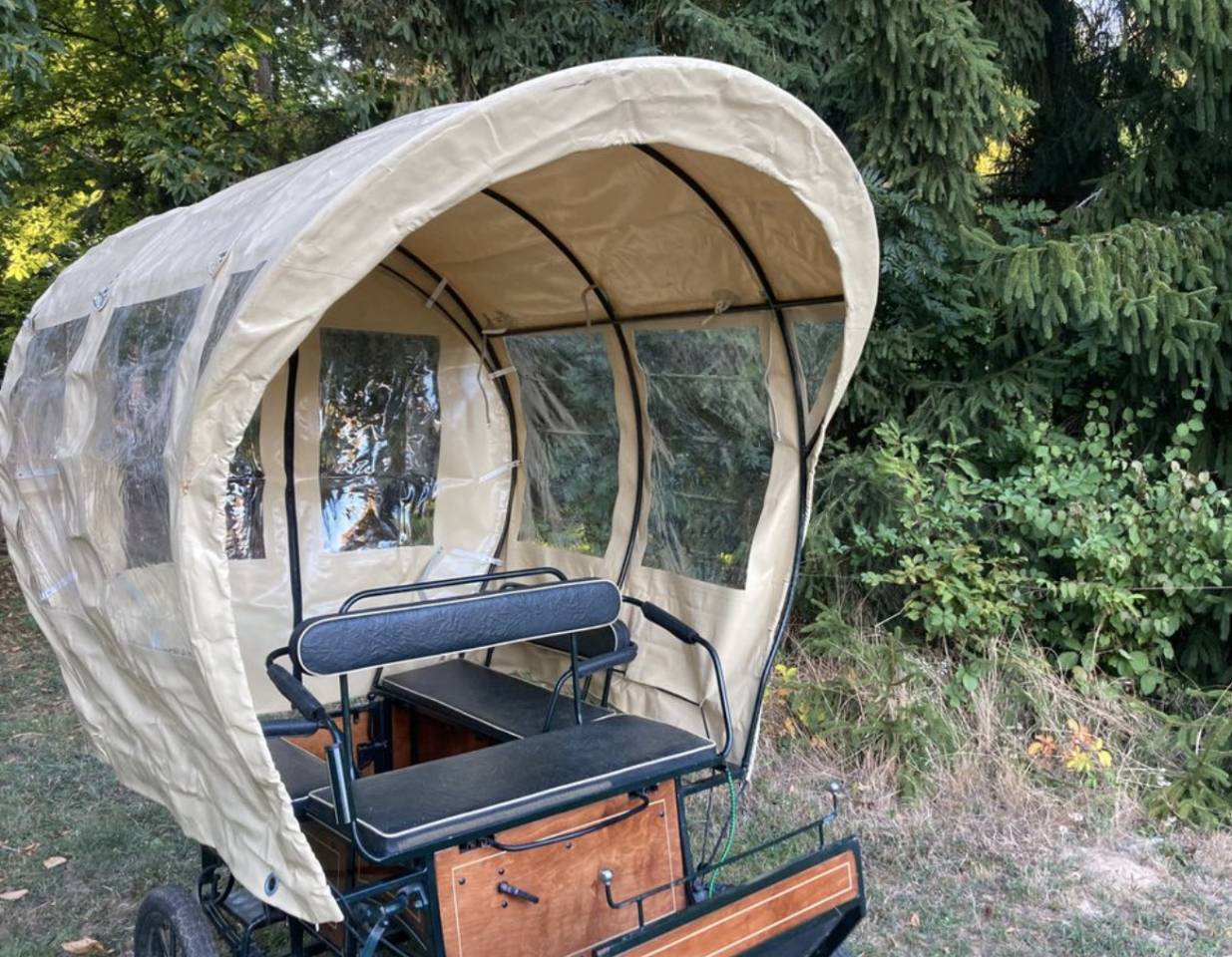Carriage - Wagonnette Dominiak  