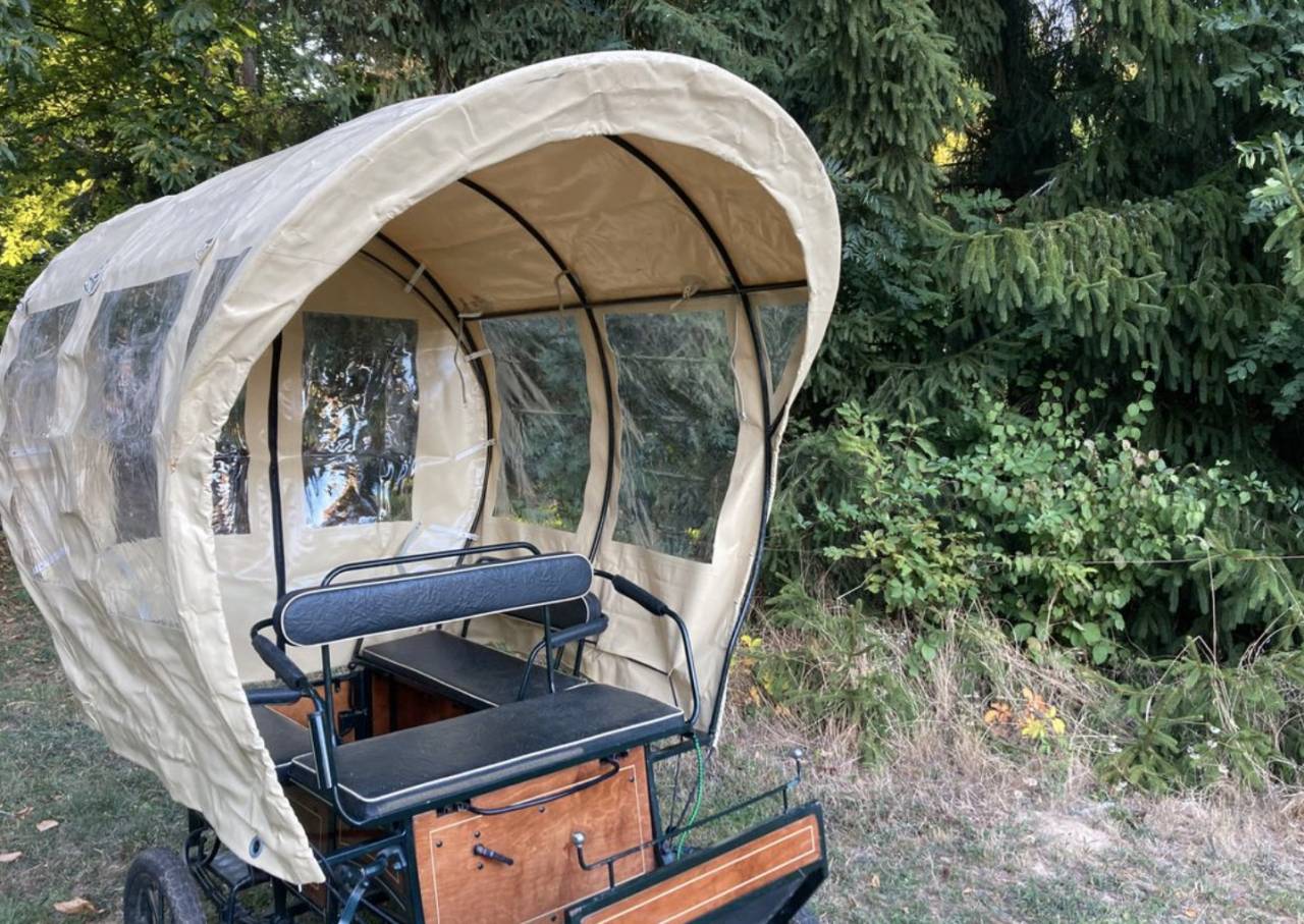 Carriage - Wagonnette Dominiak  