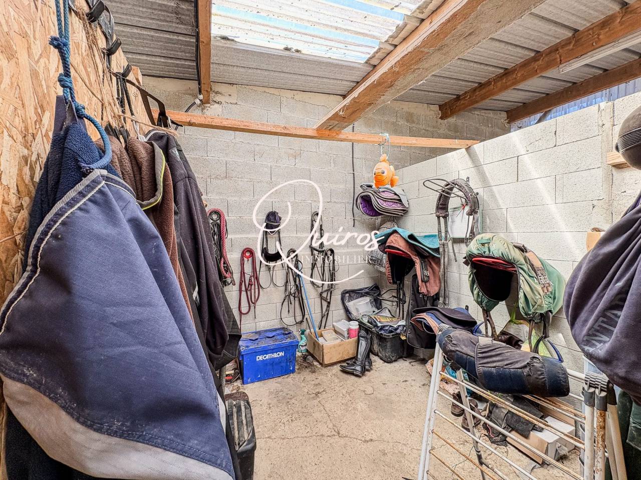 Equestrian property  Manche