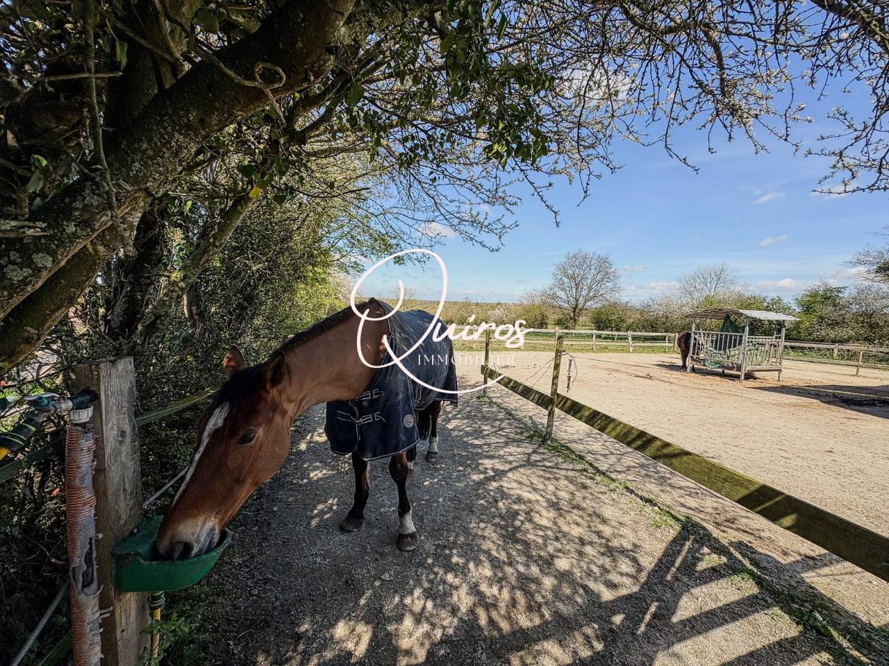 Equestrian property  Manche