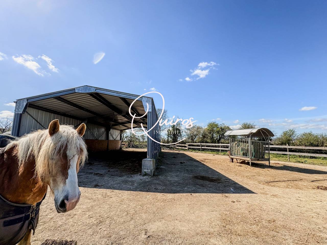 Equestrian property  Manche