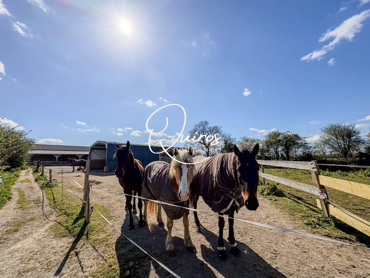 Equestrian property  Manche