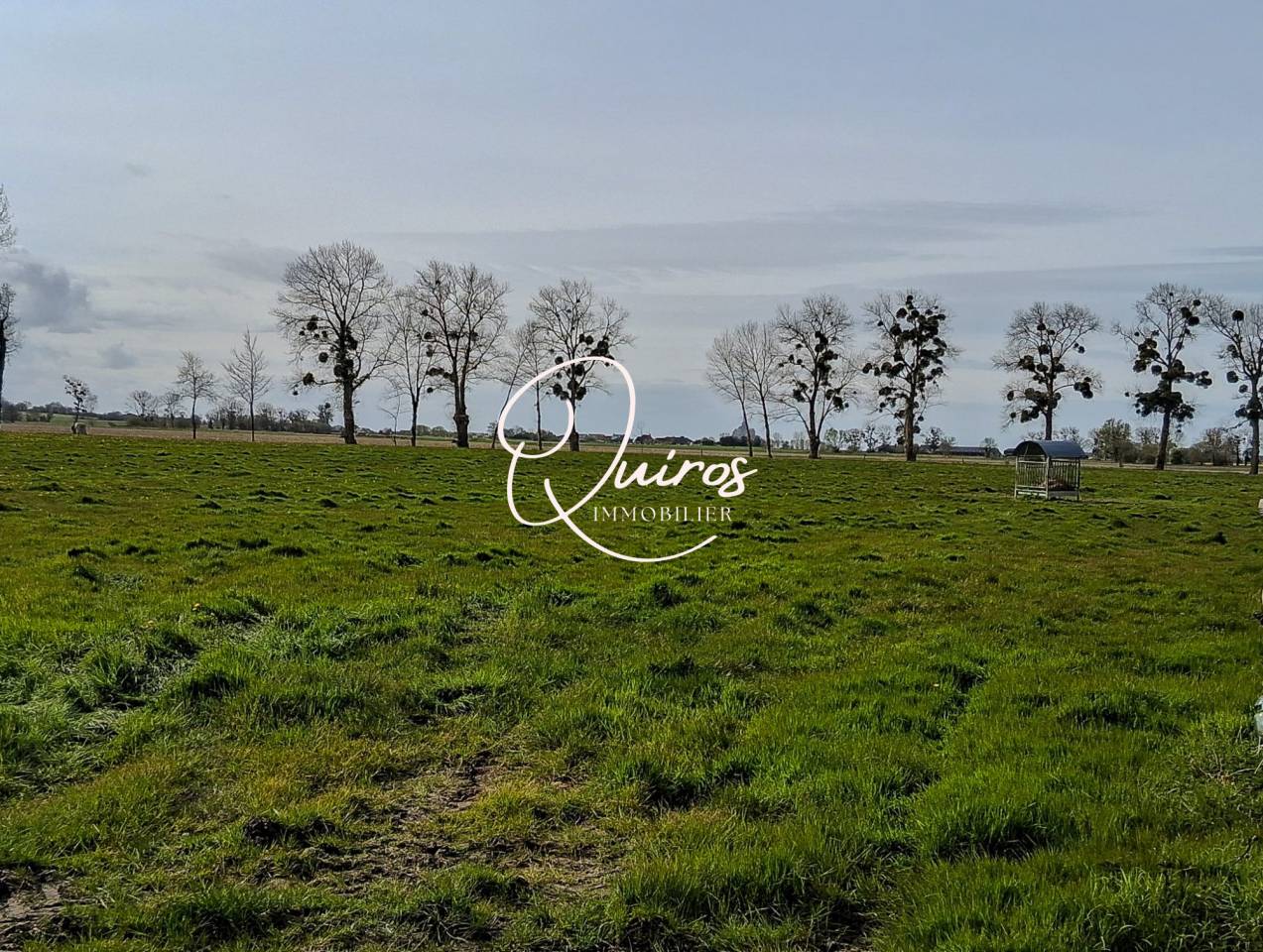 Equestrian property  Manche