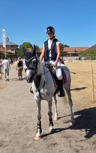 Mare Welsh Pony (Section C) For sale 2016 Grey