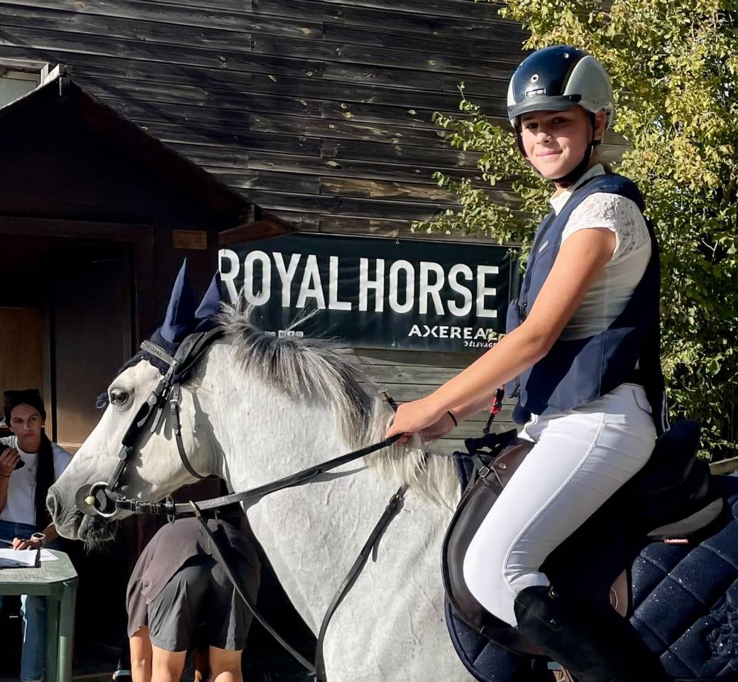 Mare Welsh Pony (Section C) For sale 2016 Grey