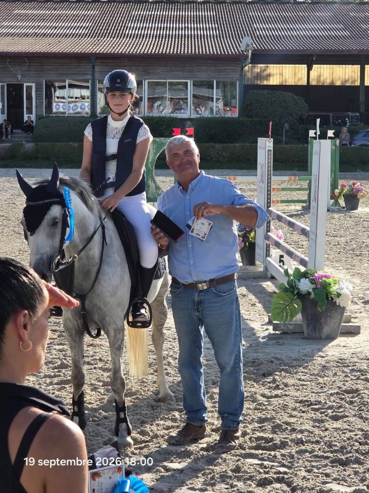 Mare Welsh Pony (Section C) For sale 2016 Grey