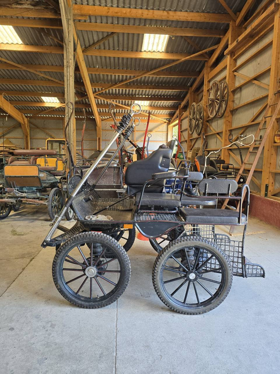 Carriage - Marathon for competition Dominiak Marathon training  