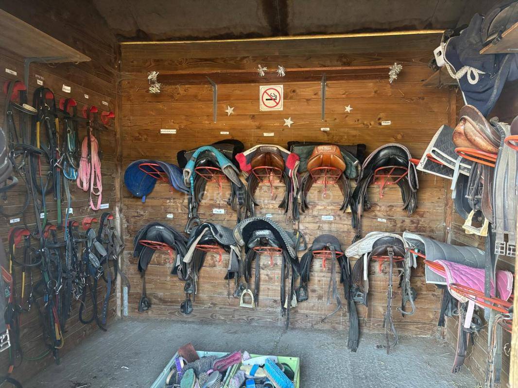 Equestrian property  Eure