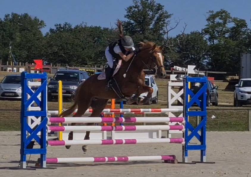 Filly Origin Recorded For sale 2022 Chesnut
