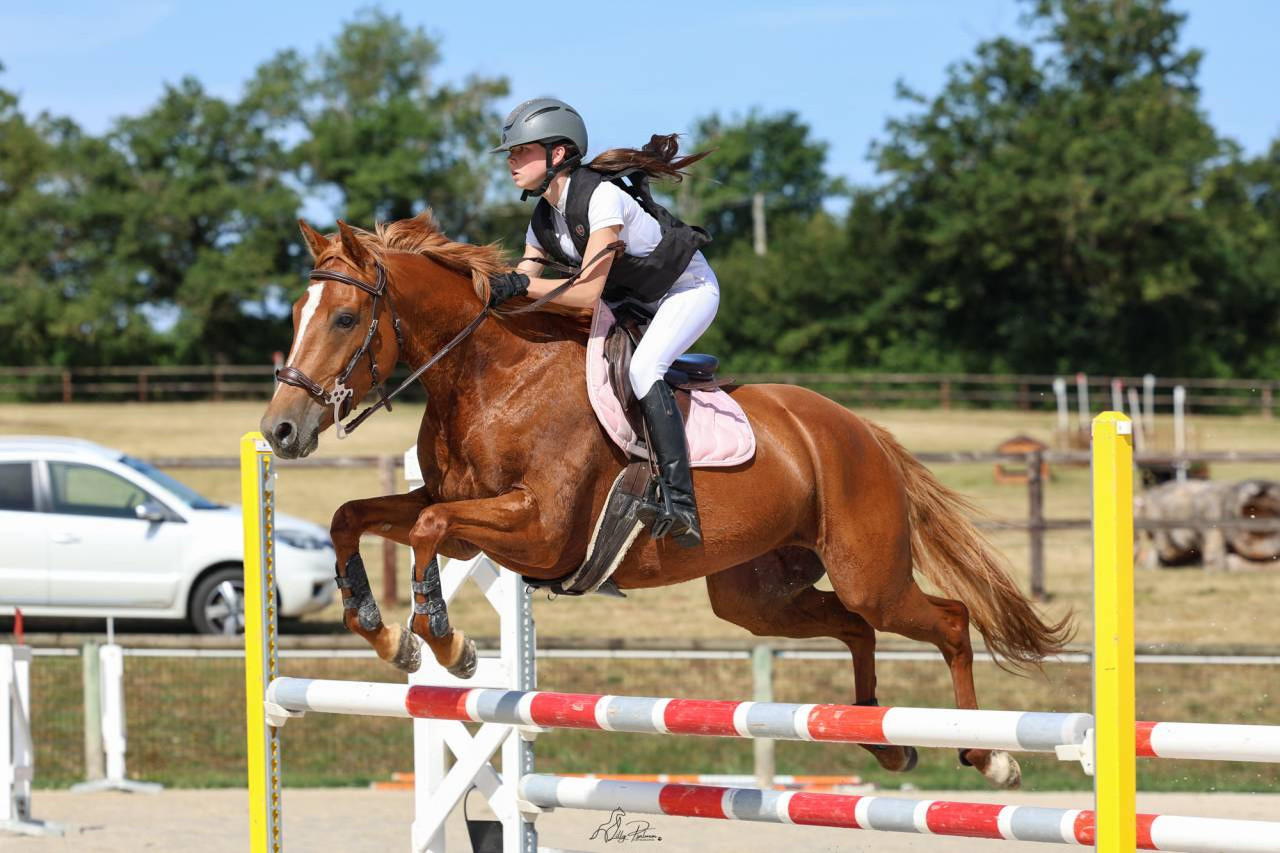 Filly Origin Recorded For sale 2022 Chesnut