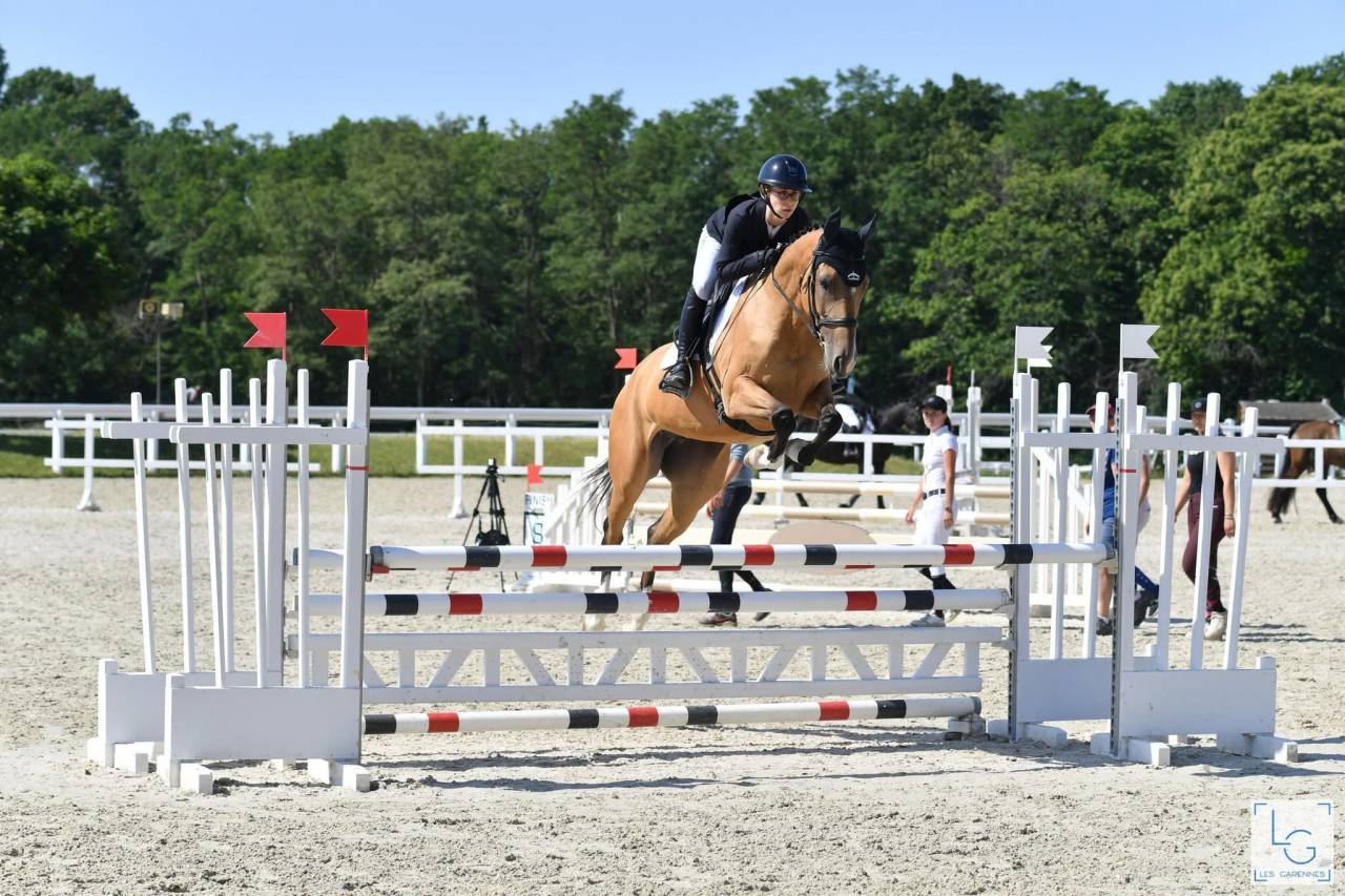 Mare Akhal Teke For sale 2017 Buckskin