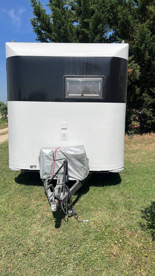Horse trailer Steinsberger 3 chevaux  3 Stalls 2015 Used