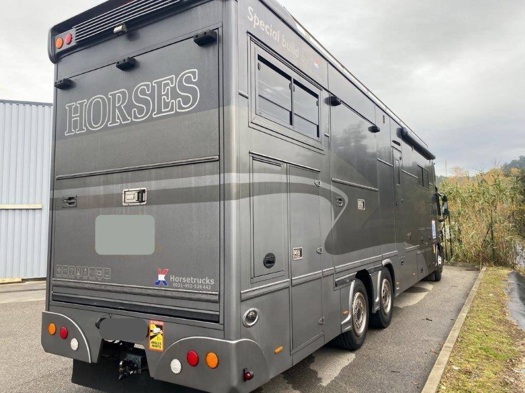 Horsebox NON-HGV Mercedes Mercedes Actros JK 2008 Used