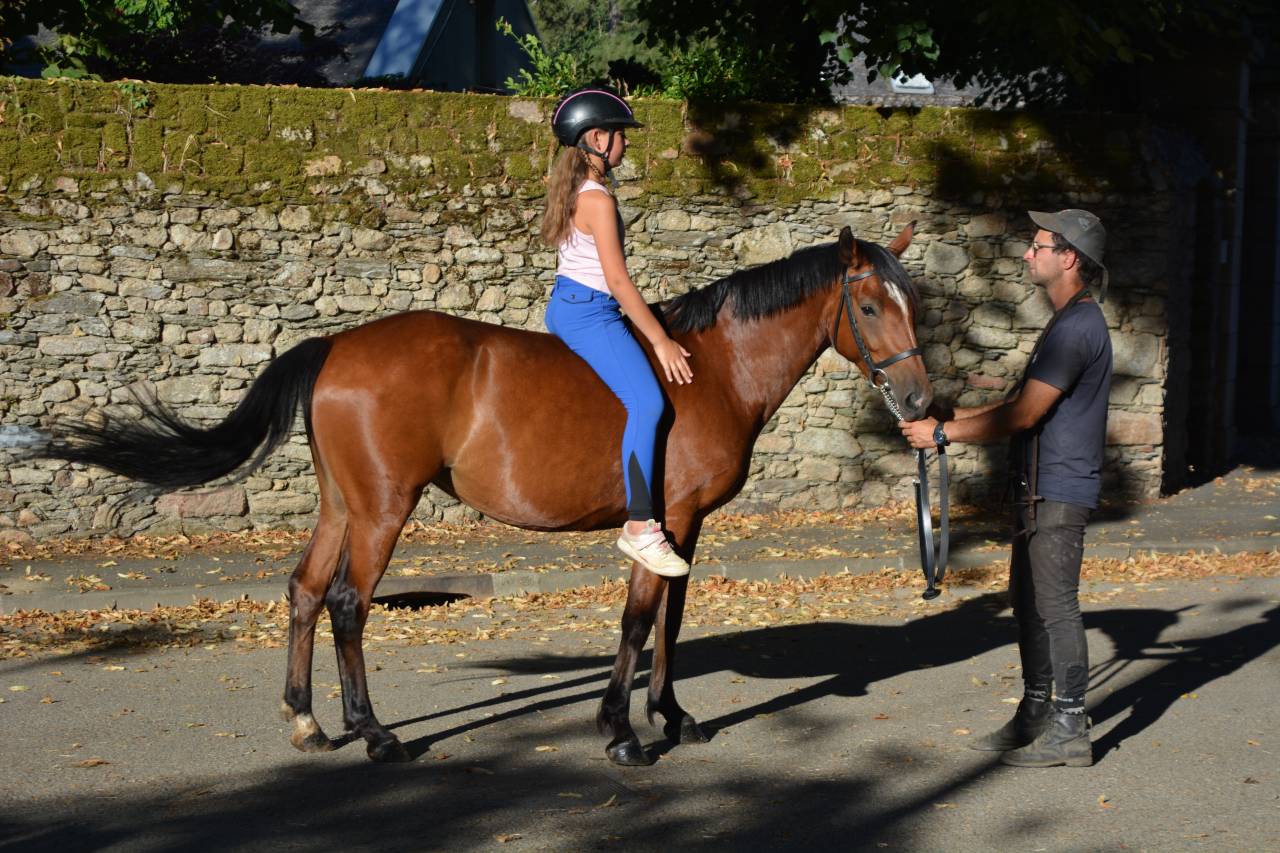 Mare Origin Recorded For sale 2021 Bay
