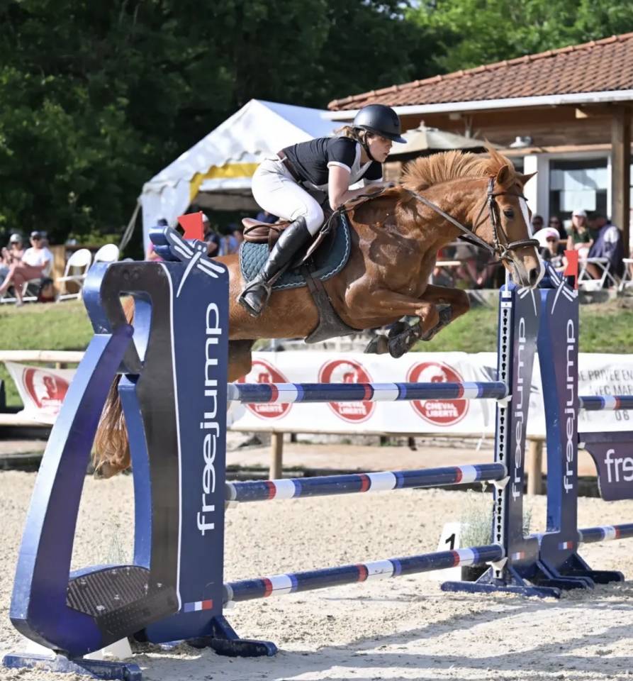Mare French Saddle Pony For loan 2011 Chesnut