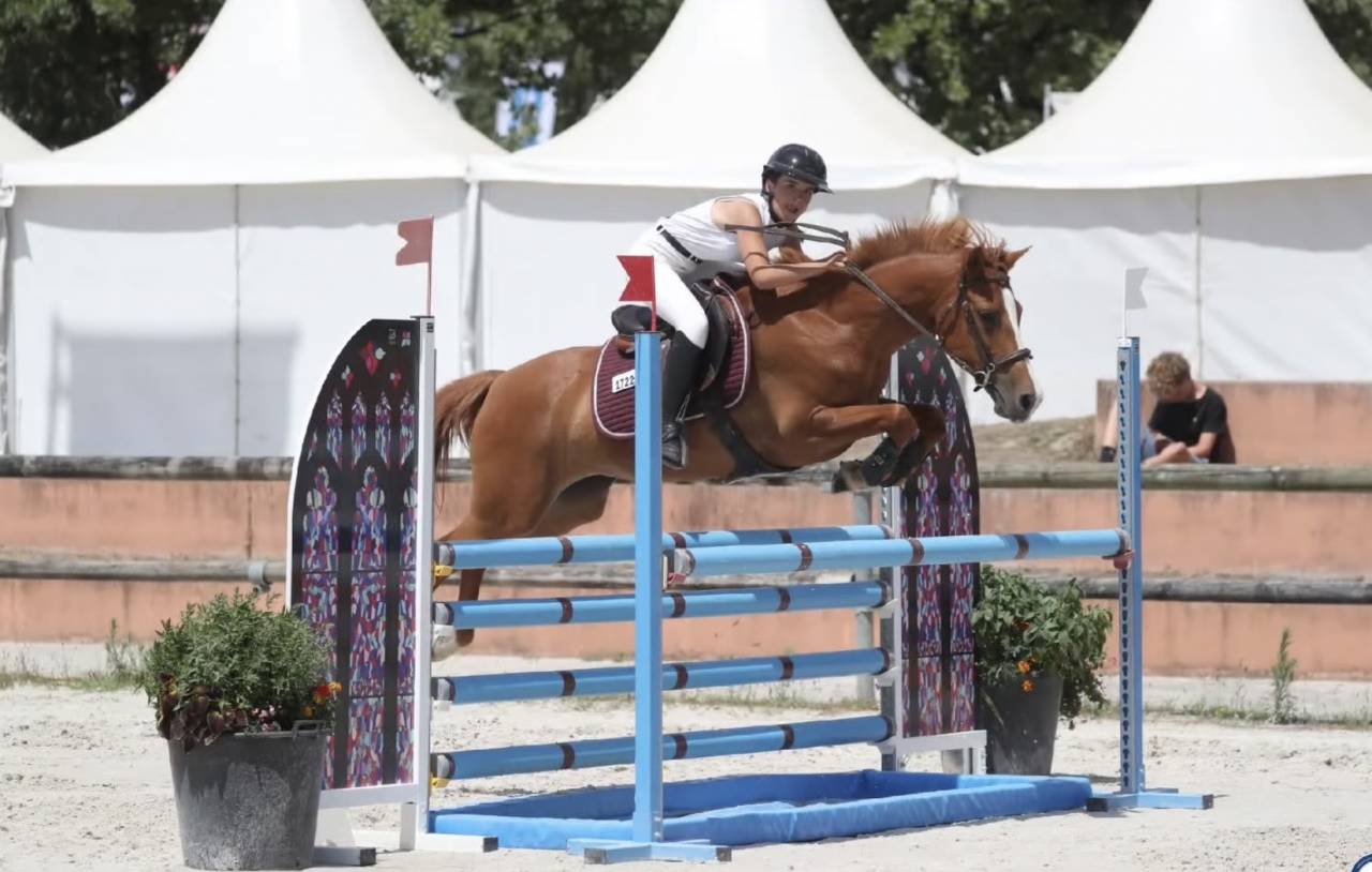 Mare French Saddle Pony For loan 2011 Chesnut