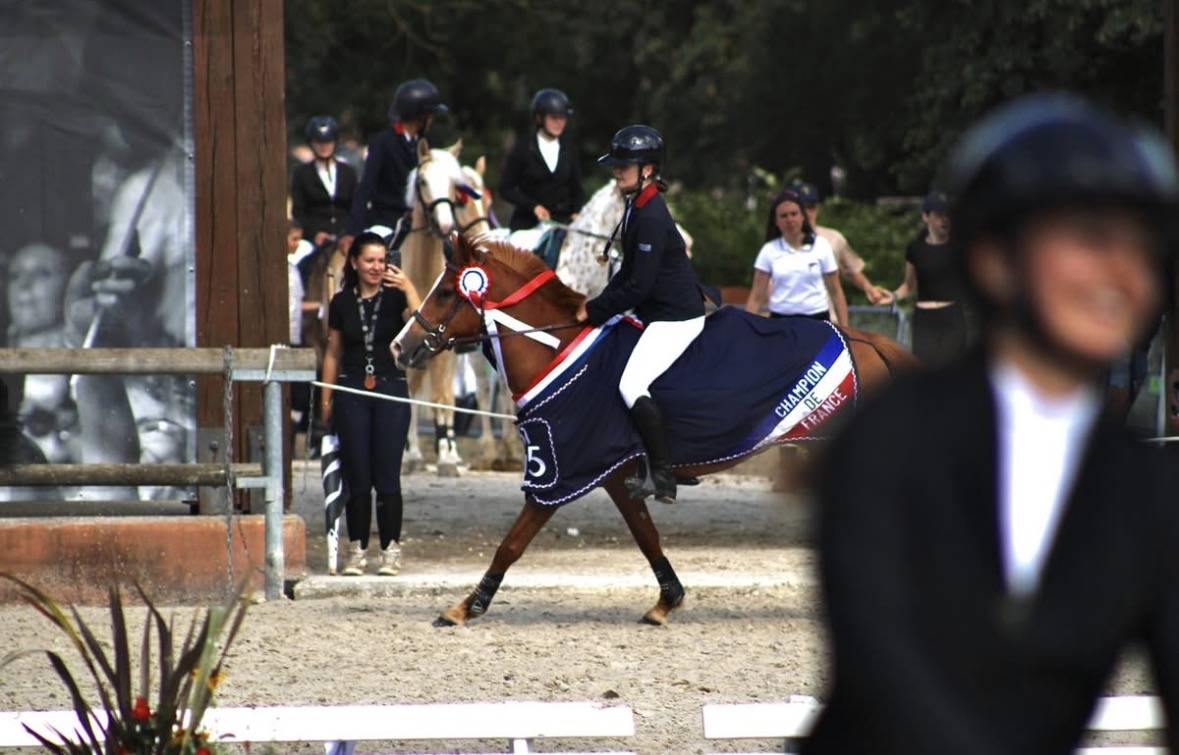 Mare French Saddle Pony For loan 2011 Chesnut