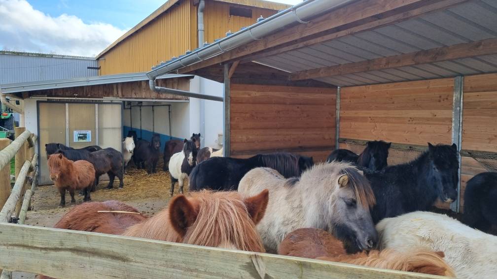 Riding school  Vosges