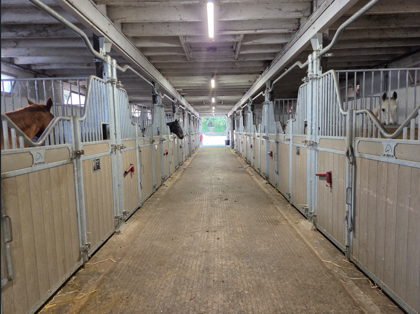 Riding school  Vosges