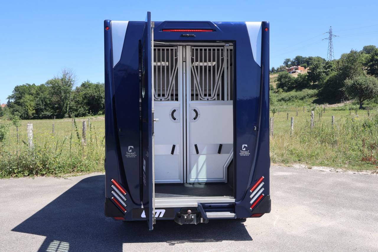 Horsebox HGV Theault THEAULT MASTER 2024 Used