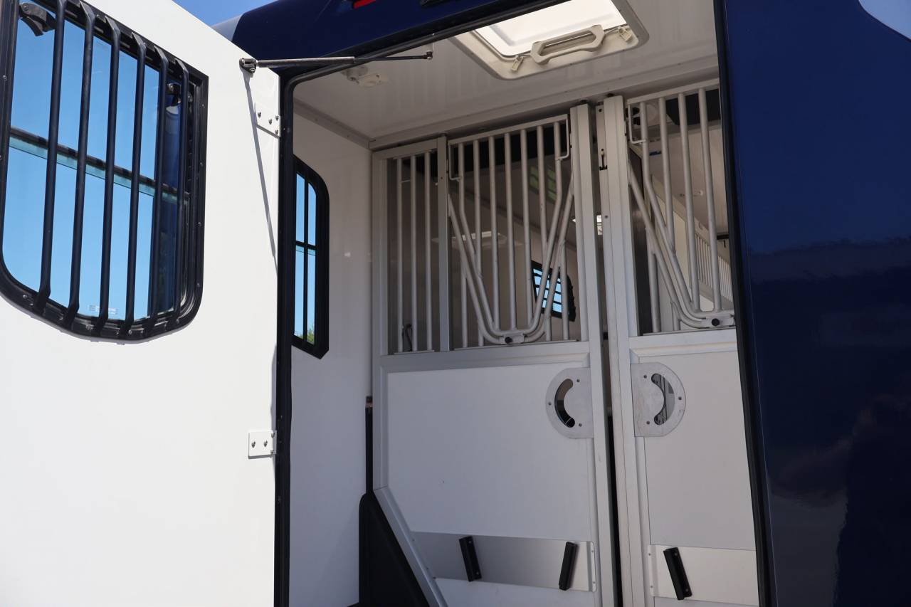 Horsebox HGV Theault THEAULT MASTER 2024 Used