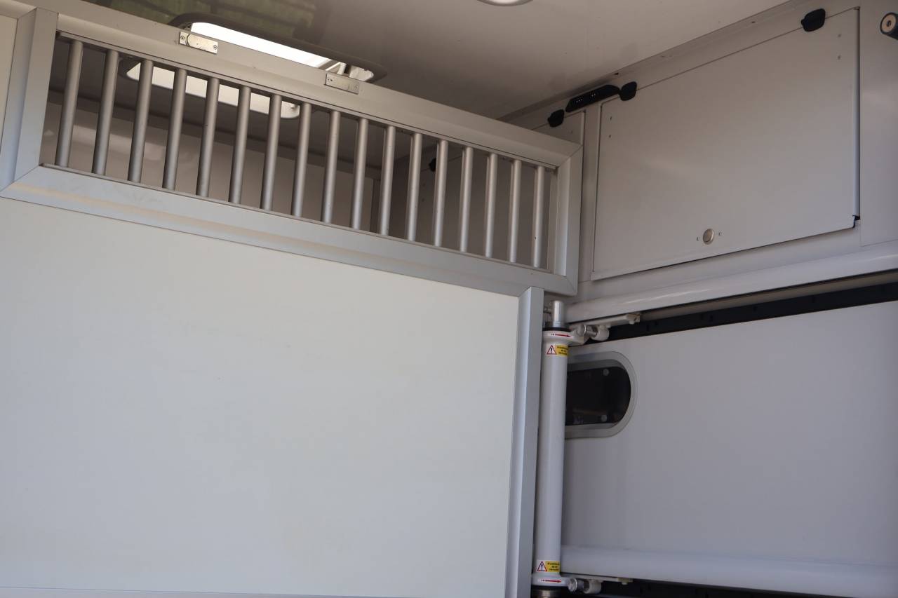 Horsebox HGV Theault THEAULT MASTER 2024 Used