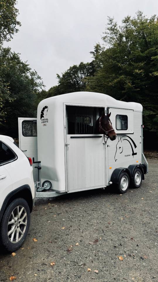 Horse trailer Cheval Liberte Touring country 2 Stalls 2026 New