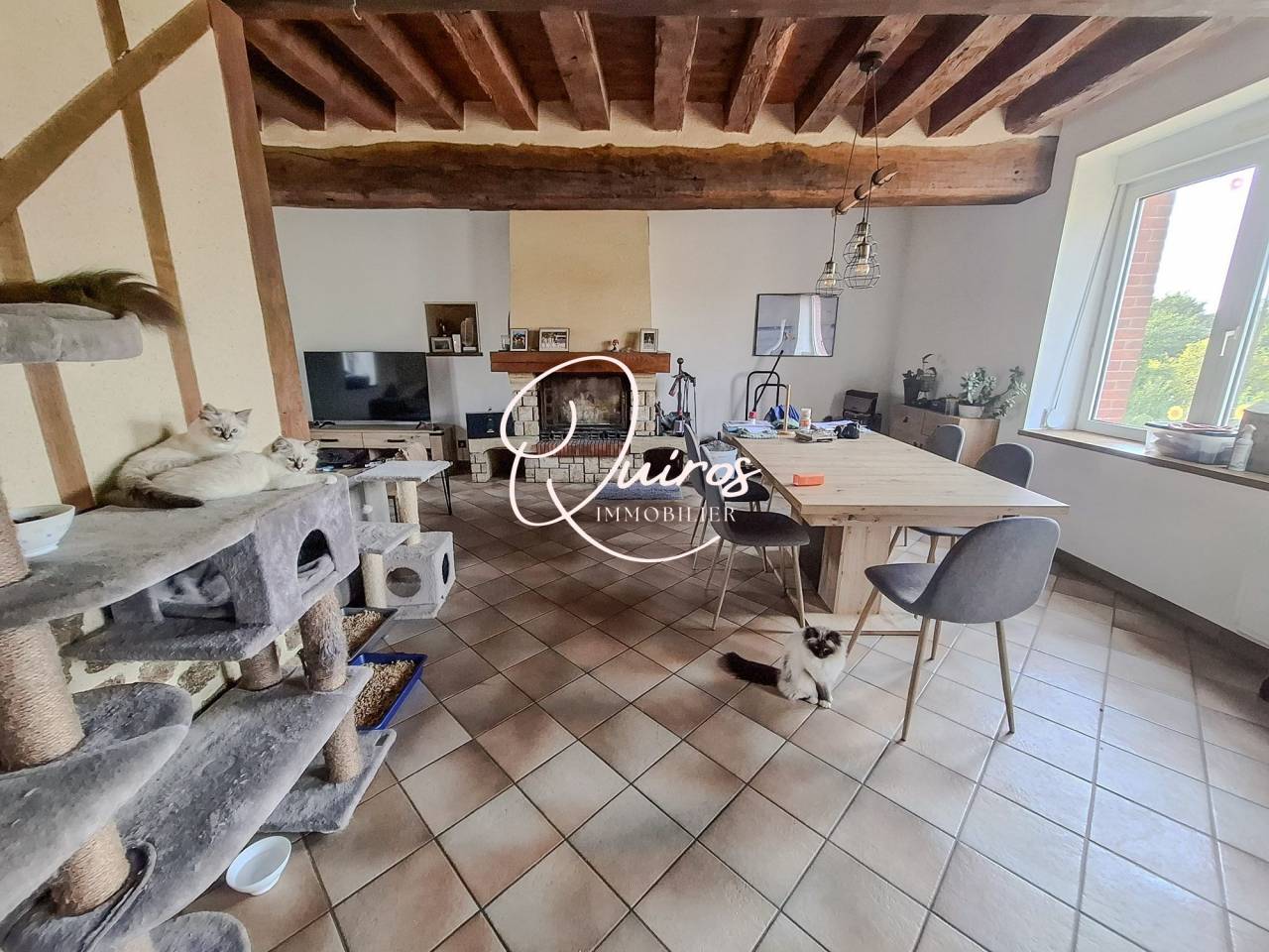 Equestrian property  Orne