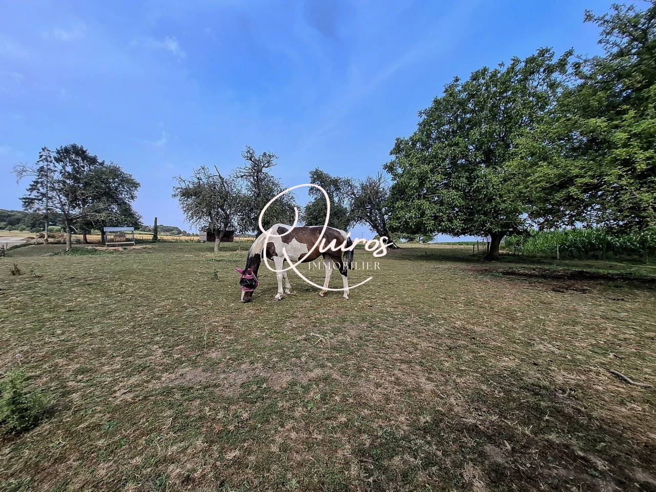 Equestrian property  Orne