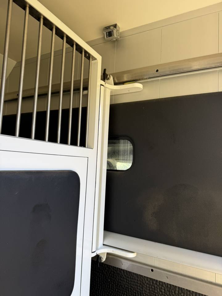 Horsebox HGV Renault Renault Master DCI 150 STX mod&egrave;le Stalle 2015 Used