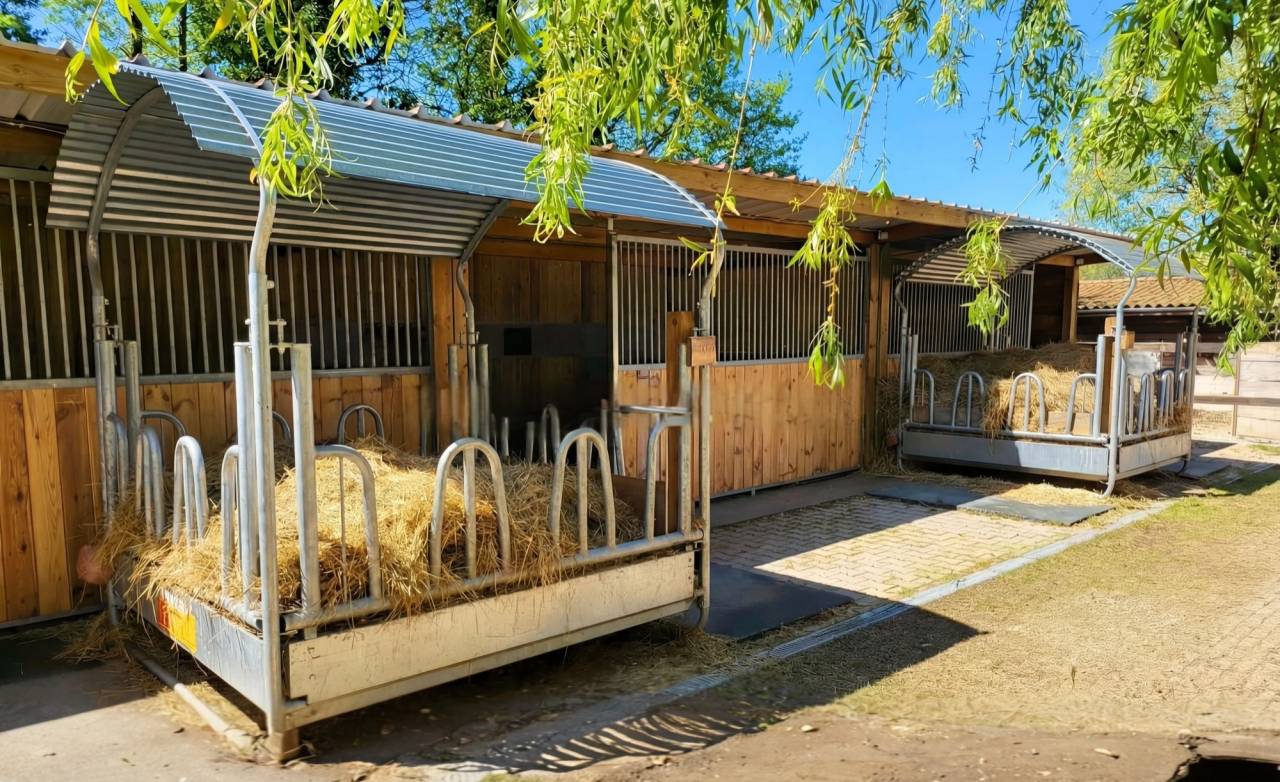 Equestrian property  Ain