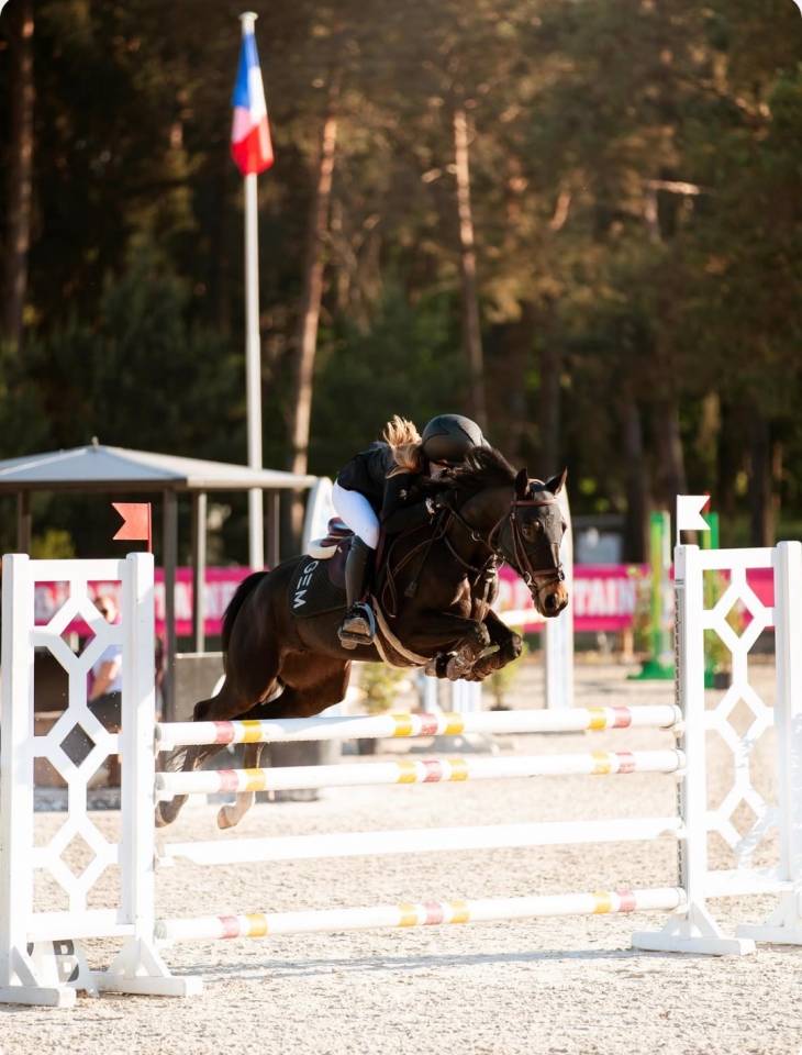 Mare French Saddle Pony For loan 2017 Black
