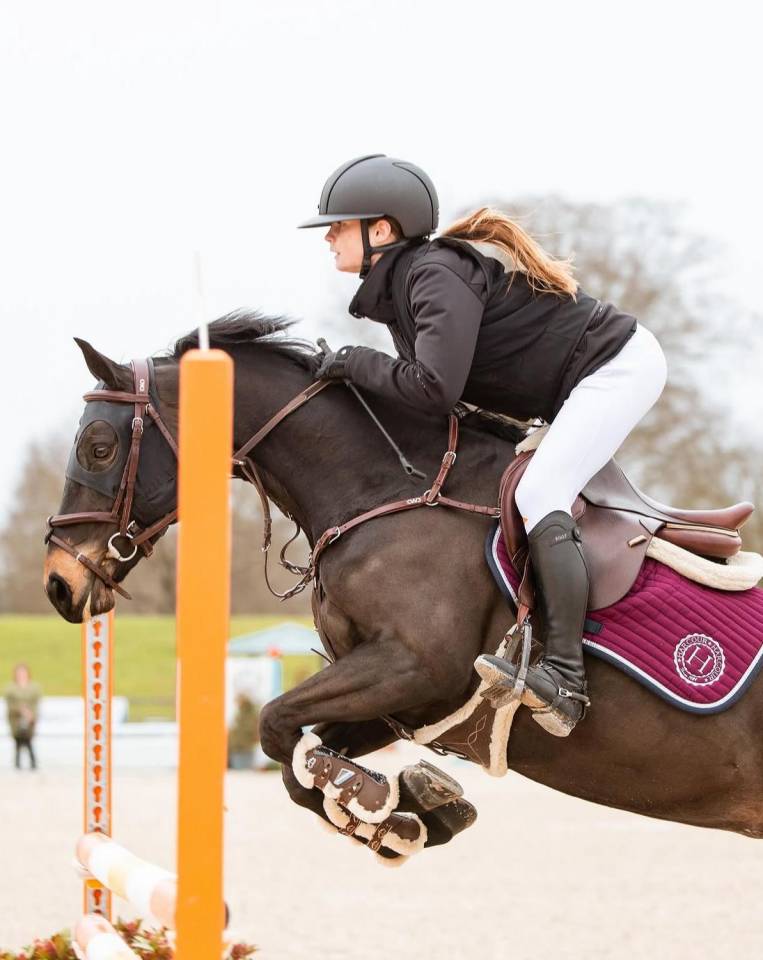 Mare French Saddle Pony For loan 2017 Black