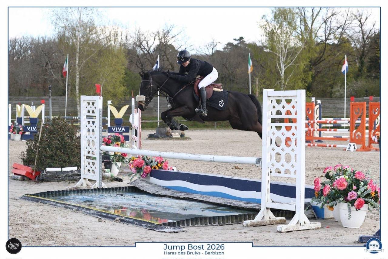 Mare French Saddle Pony For loan 2017 Black