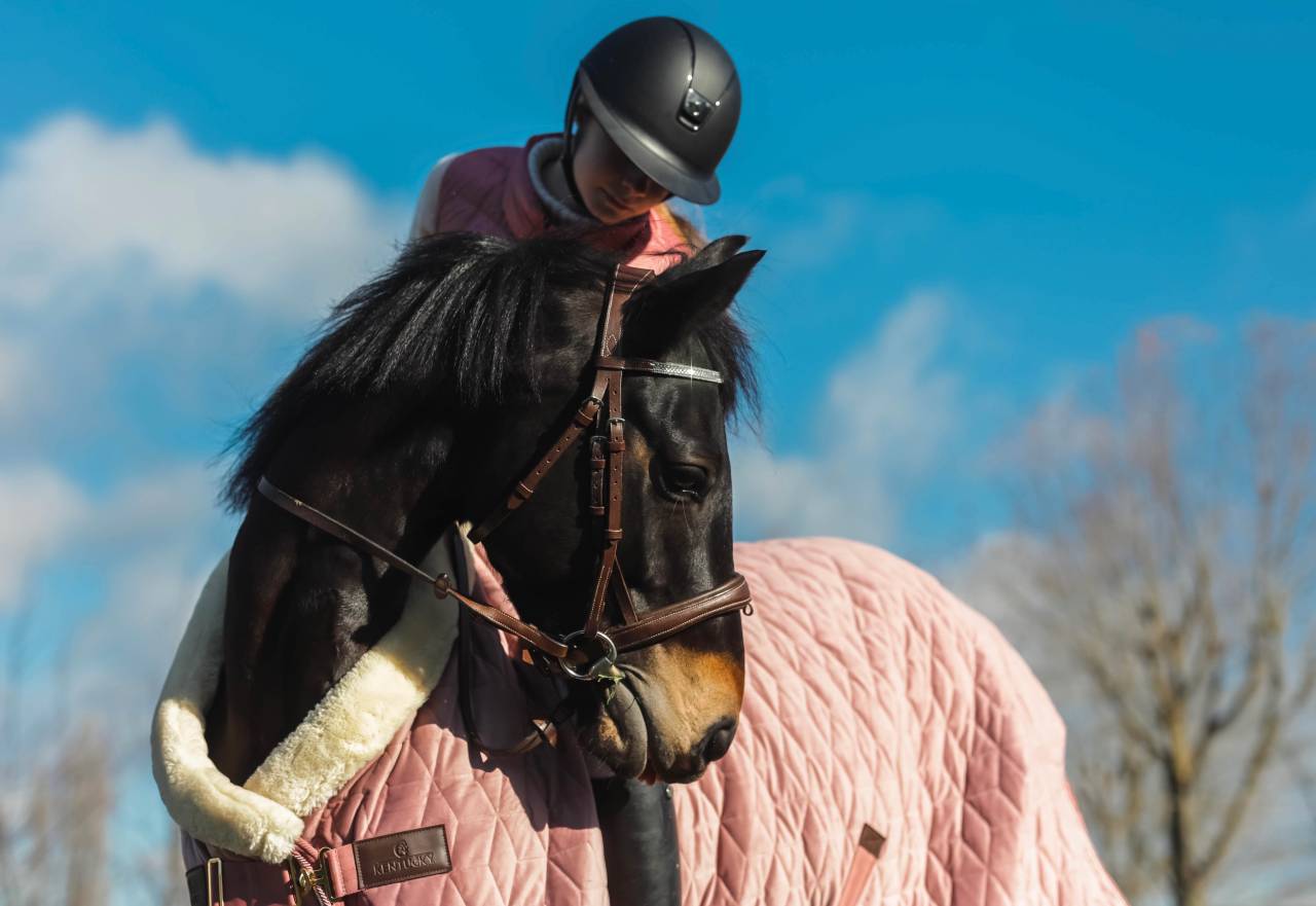 Mare French Saddle Pony For loan 2017 Black