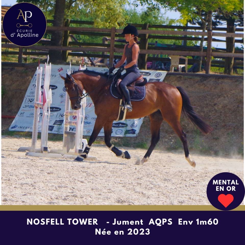 Mare AQPS For sale 2023 Bay