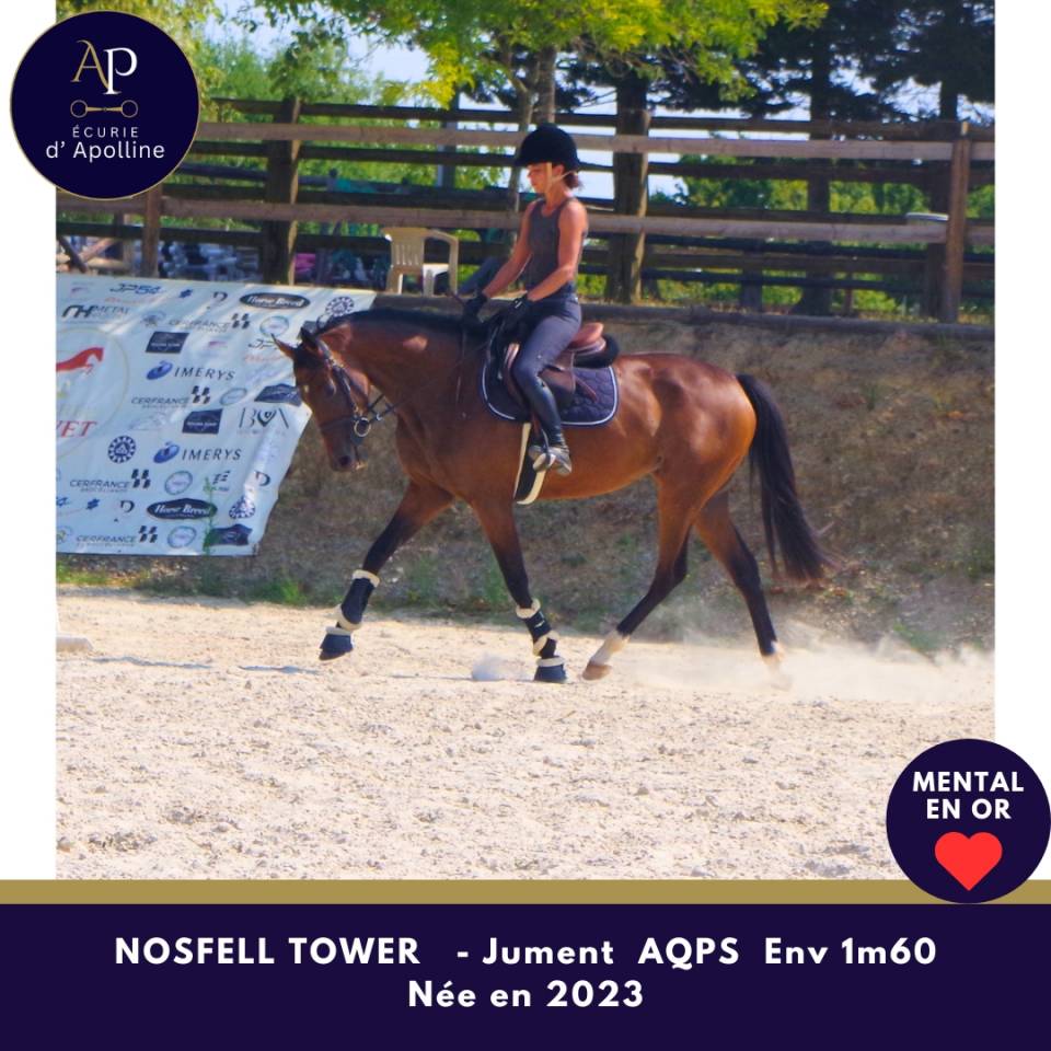 Mare AQPS For sale 2023 Bay