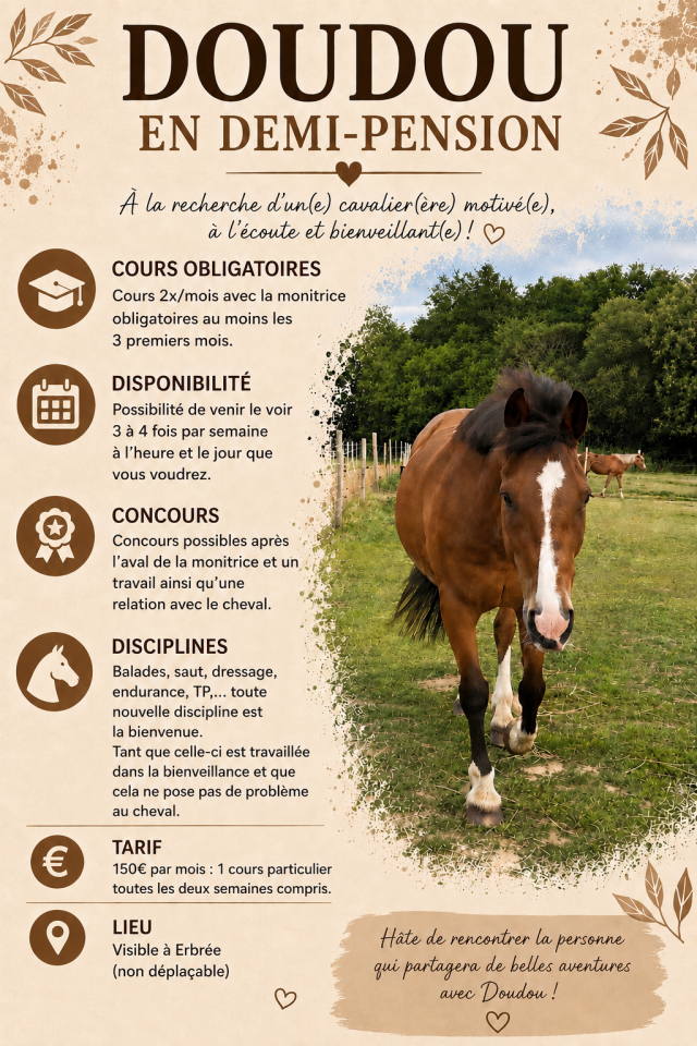Gelding No Origin Recorded Part-Livery 2012 Bay