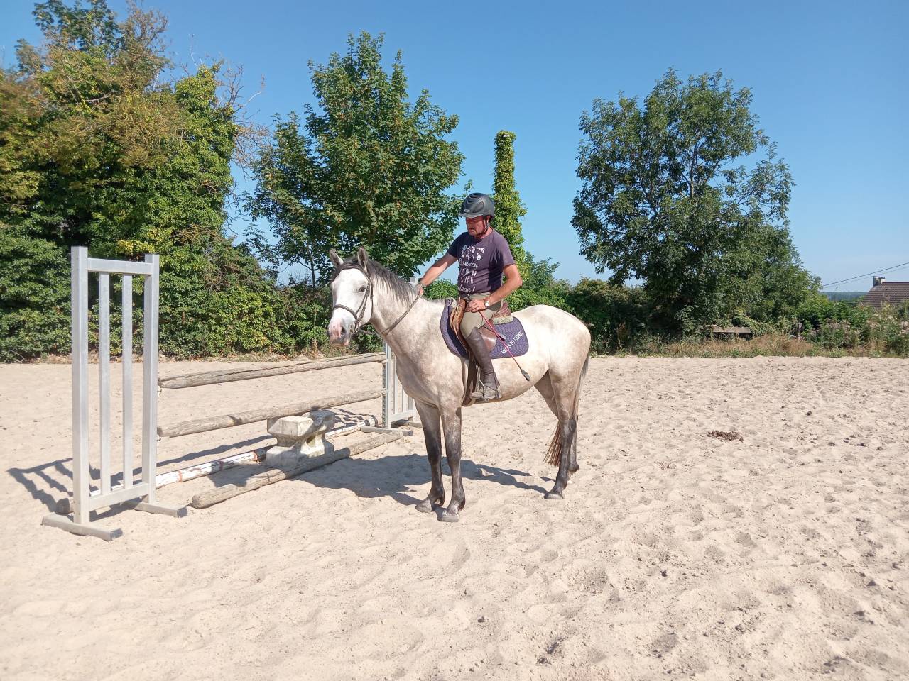 Mare Origin Recorded For sale 2023 Buckskin