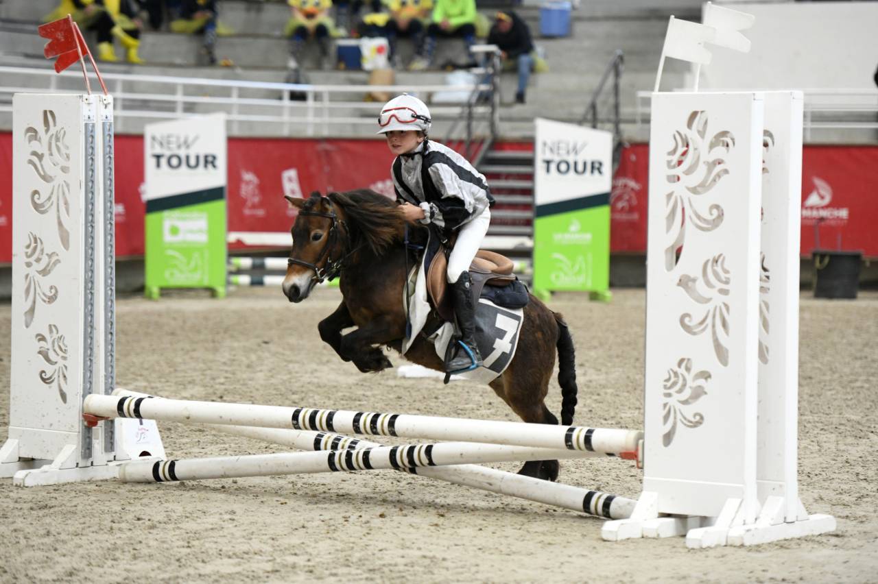 Mare Shetland Pony For sale 2020 Bay