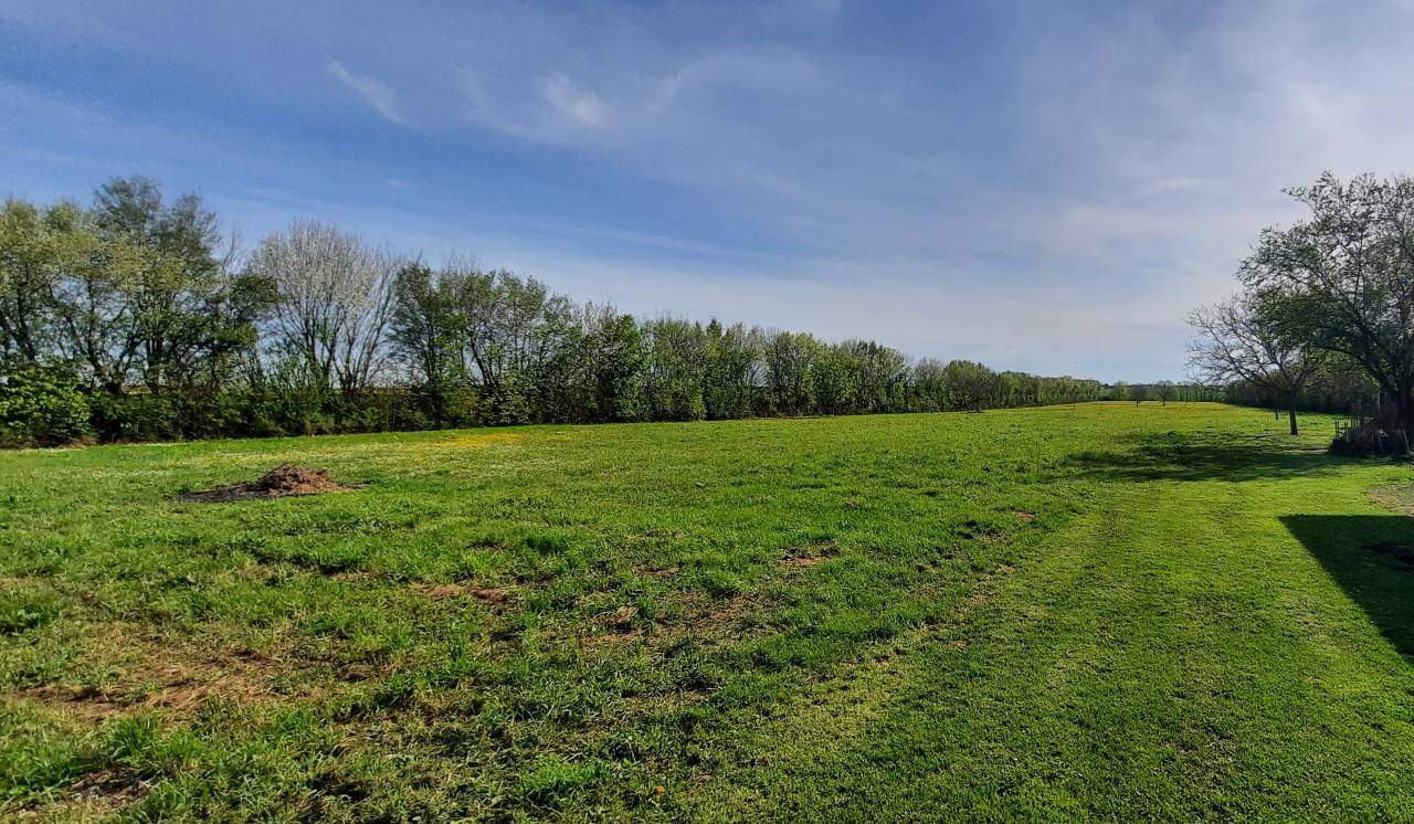 Luxurious equestrian property  Charente-Maritime