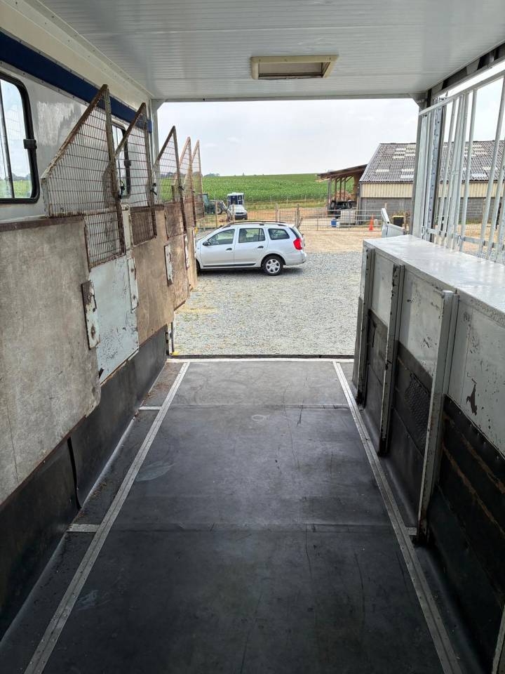 Horsebox NON-HGV Renault RENAULT 1998 Used