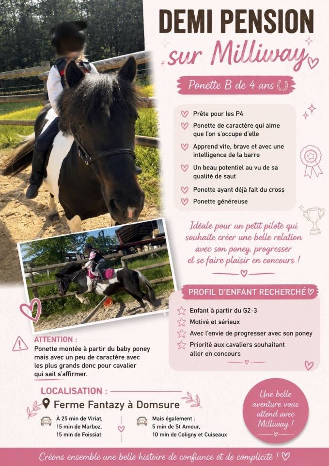 Mare New Forest Part-Livery 2022 Chesnut