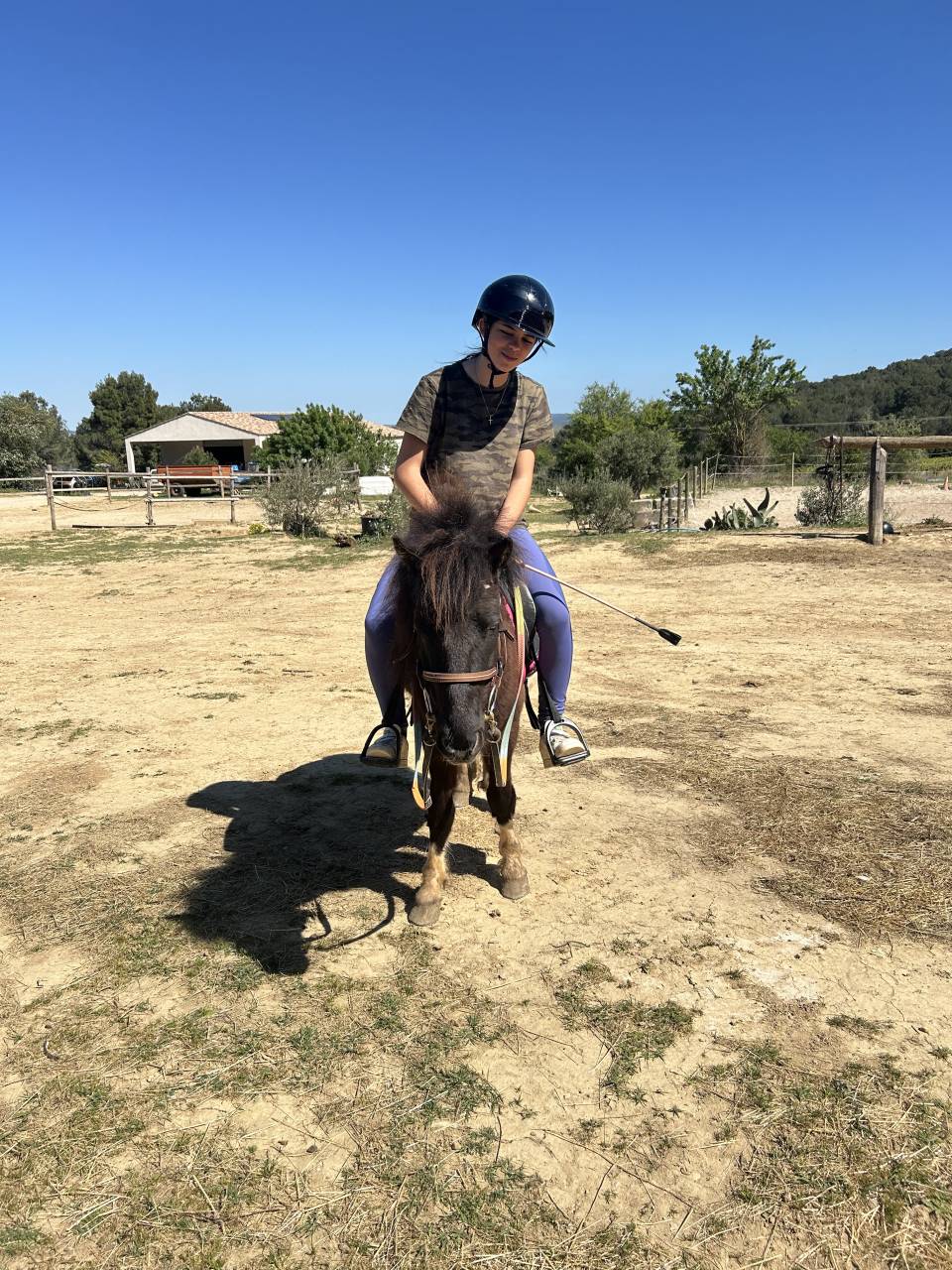 Gelding Shetland Pony For sale 2019 Coloured