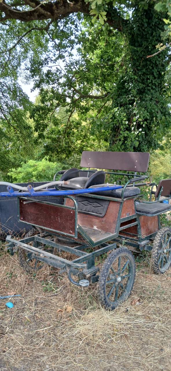 Carriage - Marathon for leisure   