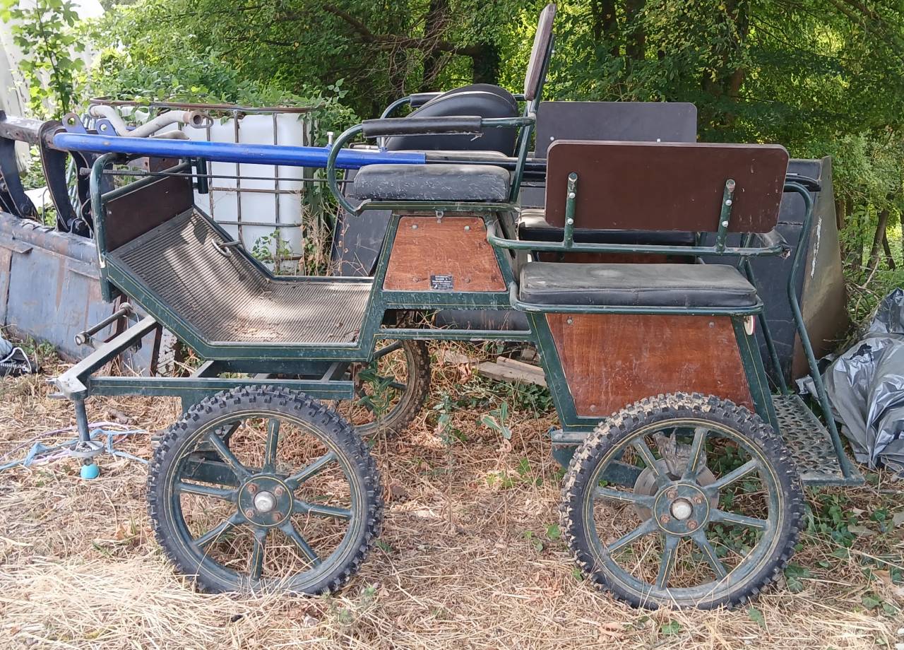 Carriage - Marathon for leisure   