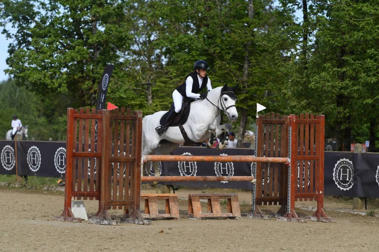 Gelding Connemara For sale 2017 Grey