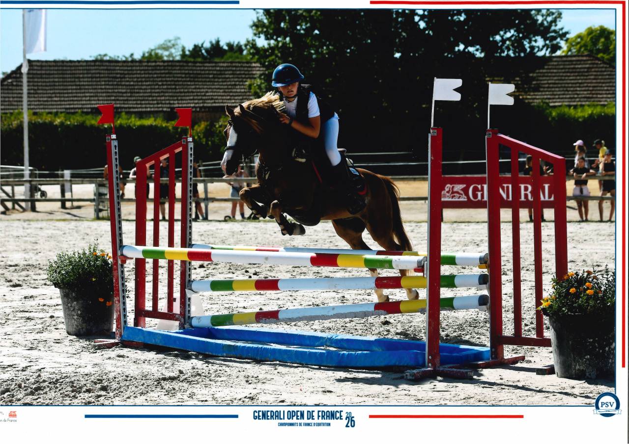 Filly Welsh Pony (Section B) For sale 2025 Chesnut