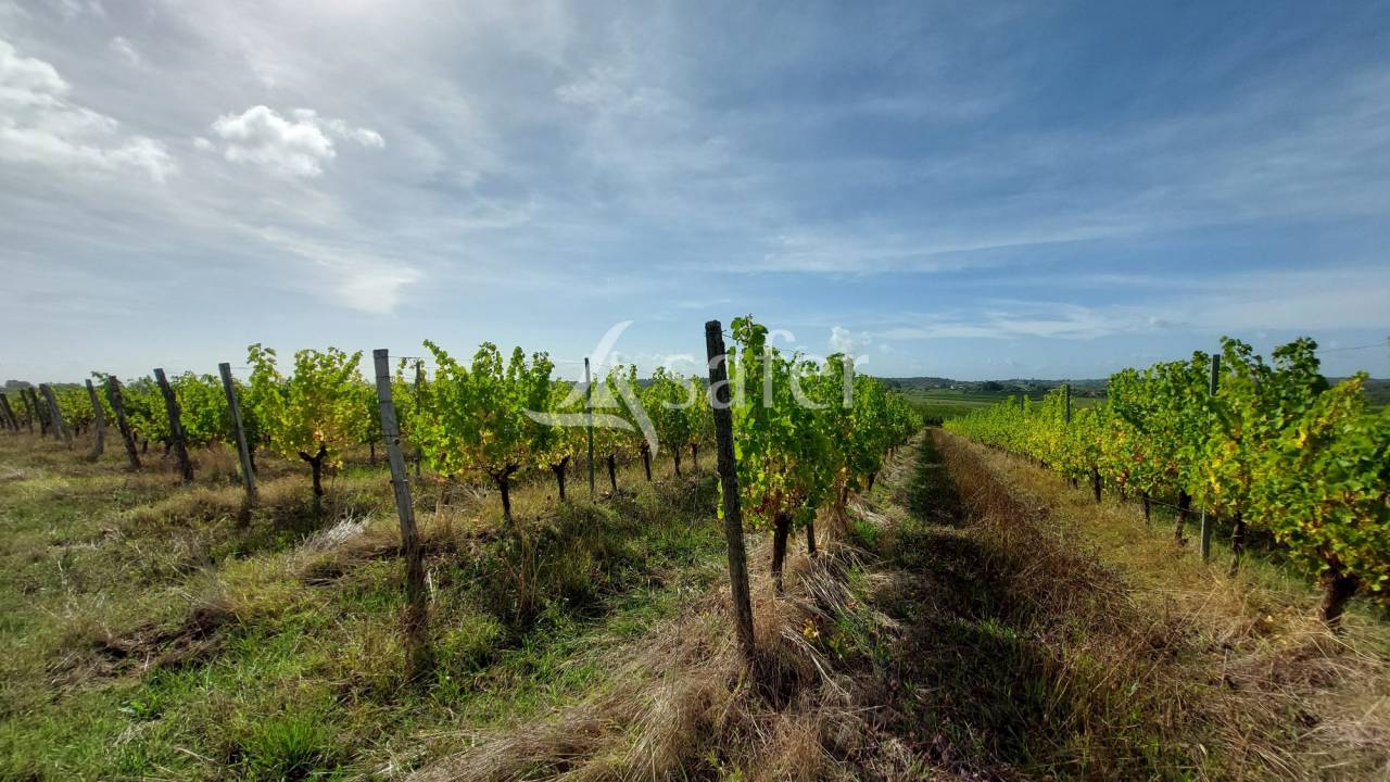 Other country property  Gironde